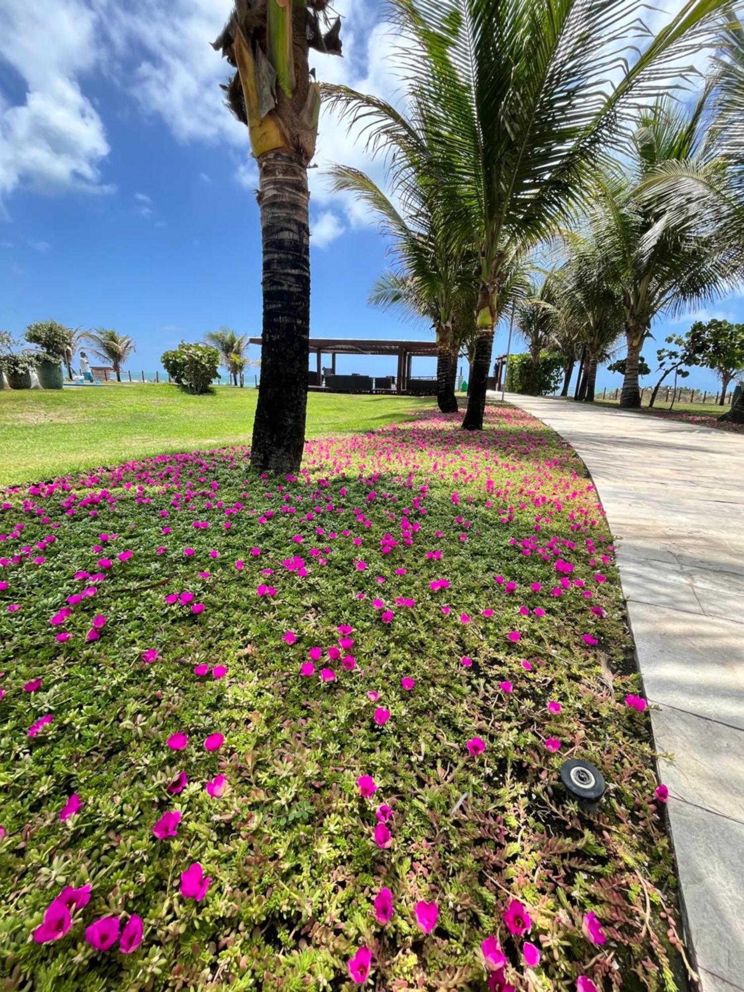 Resort Beira Mar Em Porto De Galinhas - Cupe Beach Living Pôrto das Galinhas المظهر الخارجي الصورة